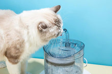 Load image into Gallery viewer, Automatic Cat Water Fountain With Faucet Dog Water